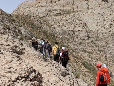 گروه ورزش نیان الکترونیک