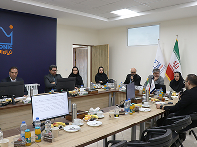 نیان الکترونیک