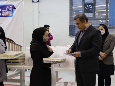 نوروز نیان الکترونیک