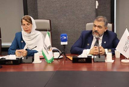 گام های نهایی نیان باتری خاوران در مسیر ورود به بازار سرمایه